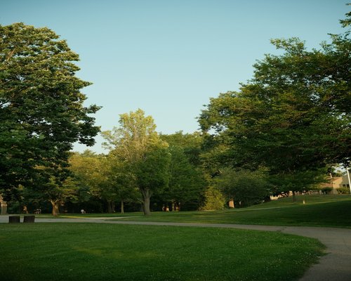 A serene outdoor walking path under shady green trees during a fresh morning in a public park